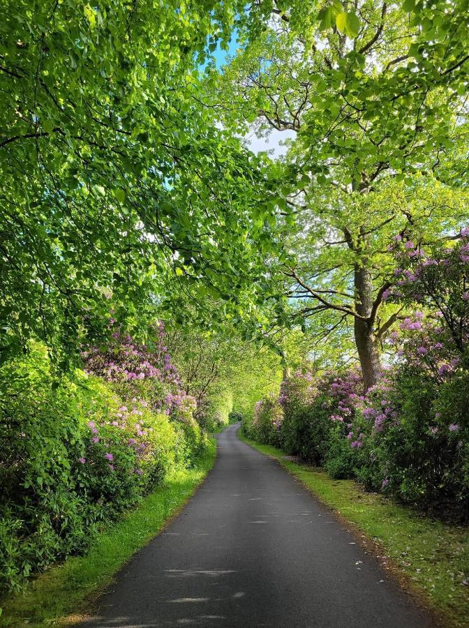 Herdershut